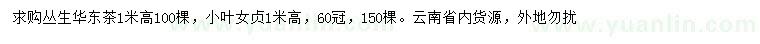 求購高1米叢生華東茶、小葉女貞