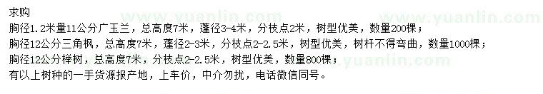 求購廣玉蘭、三角楓、櫸樹