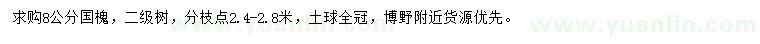 求購8公分國槐