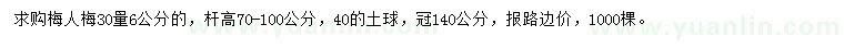 求購30量6公分梅人梅