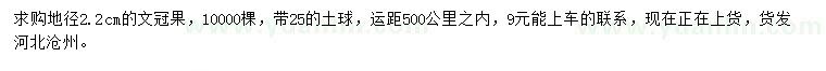 求購地徑2.2公分文冠果