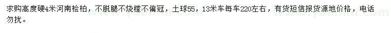 求購高度硬4米河南檜柏