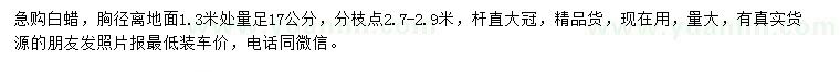 求購1.3米量足17公分白蠟