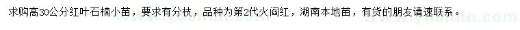 求購(gòu)高30公分紅葉石楠小苗