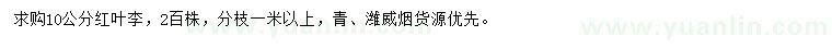 求購10公分紅葉李