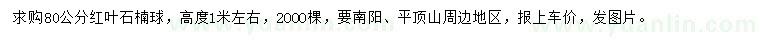求購(gòu)80公分紅葉石楠球