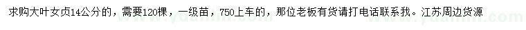 求購14公分大葉女貞