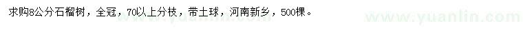 求購8公分石榴樹