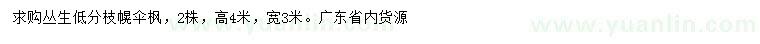 求購(gòu)高4米幌傘楓