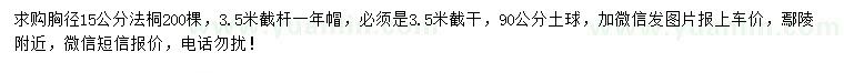求購胸徑15公分法桐
