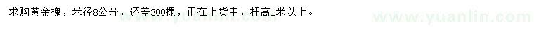 求購米徑8公分黃金槐