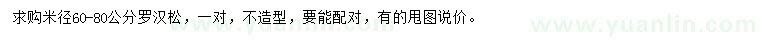 求購(gòu)米徑60-80公分羅漢松