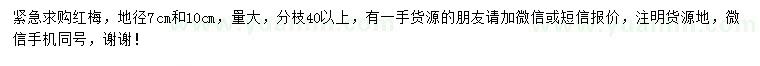 求購地徑7、10公分紅梅