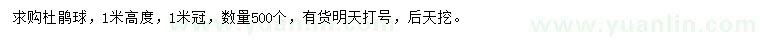 求購冠1米杜鵑球