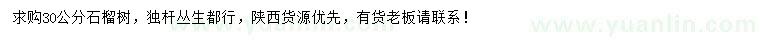 求購(gòu)30公分石榴樹(shù)