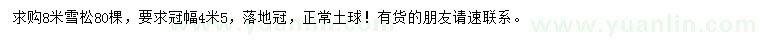 求購8米雪松