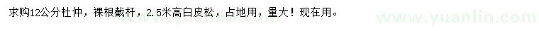 求購12公分杜仲、高2.5米白皮松