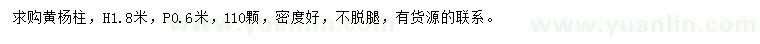 求購高1.8米黃楊柱
