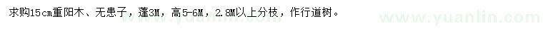求購15公分重陽木、無患子