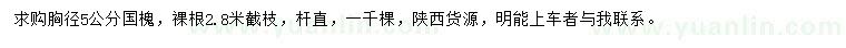 求購(gòu)胸徑5公分國(guó)槐