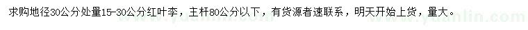 求購(gòu)地徑30量15-30公分紅葉李