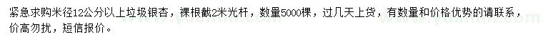 求購米徑12公分以上銀杏