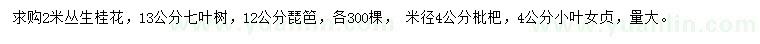 求購(gòu)叢生桂花、七葉樹、枇杷等