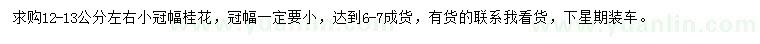 求購12-13公分左右桂花