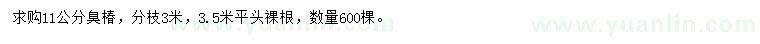 求購11公分臭椿