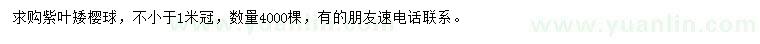 求購冠1米以上紫葉矮櫻球