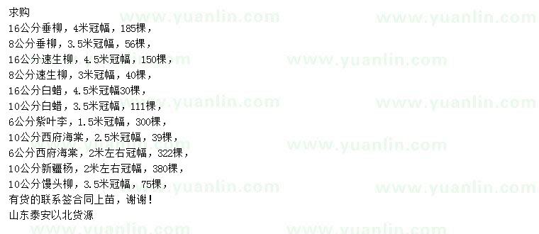 求購垂柳、速生柳、白蠟等