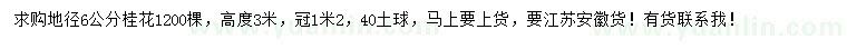 求購(gòu)地徑6公分桂花