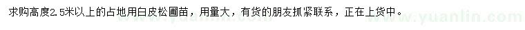 求購(gòu)高2.5米以上白皮松
