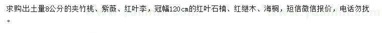 求購?qiáng)A竹桃、紫薇、紅葉李等
