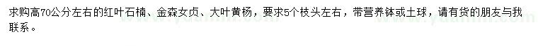 求購紅葉石楠小苗、金森女貞小苗、大葉黃楊小苗