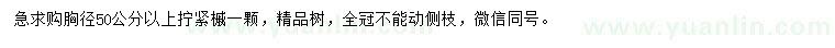 求購(gòu)胸徑50公分以上擰緊槭