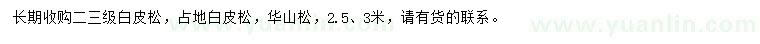 求購2.5、3米白皮松、華山松