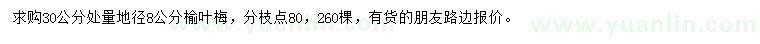 求購地徑30量8公分榆葉梅
