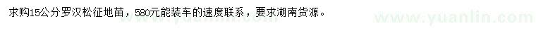 求購15公分羅漢松