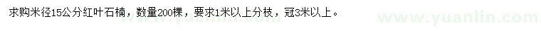 求購米徑15公分紅葉石楠