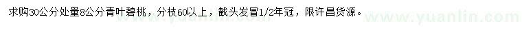 求購30量8公分青葉碧桃