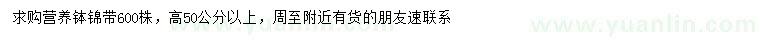 求購(gòu)高50公分以上錦帶