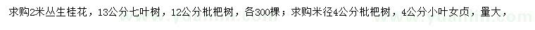 求購叢生桂花、七葉樹、枇杷樹等