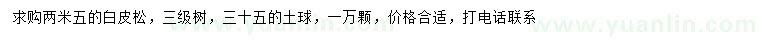 求購2.5米白皮松