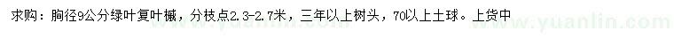 求購胸徑9公分綠葉復(fù)葉槭