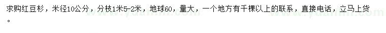 求購米徑10公分紅豆杉