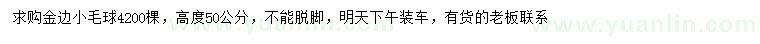 求購高50公分金邊小毛球