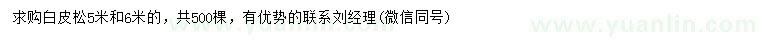 求購5、6米白皮松