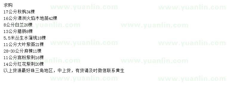 求購(gòu)秋楓、澳洲火焰木、白蘭等