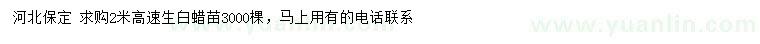 求購(gòu)高2米速生白蠟
